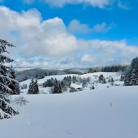Schwarzwald Nescht Triberg Lejlighed Triberg im Schwarzwald Eksteriør billede