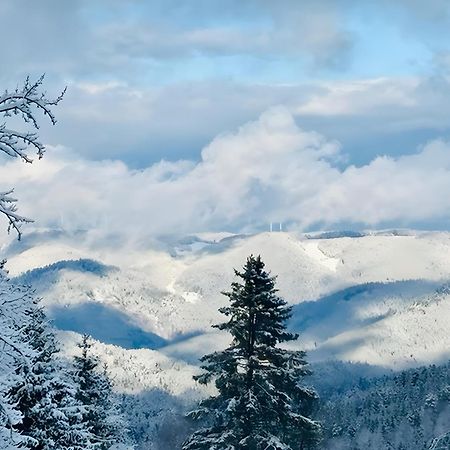 Schwarzwald Nescht Triberg Lejlighed Triberg im Schwarzwald Eksteriør billede
