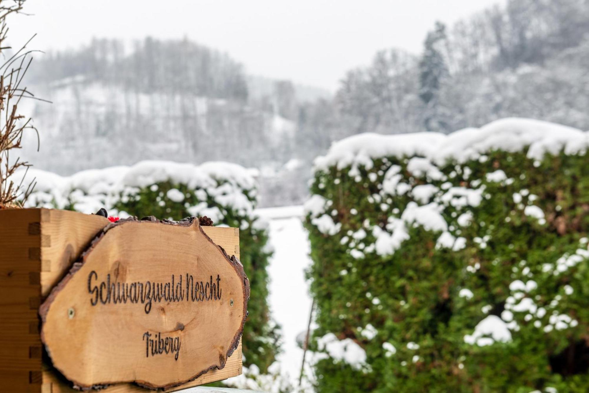 Schwarzwald Nescht Triberg Lejlighed Triberg im Schwarzwald Eksteriør billede