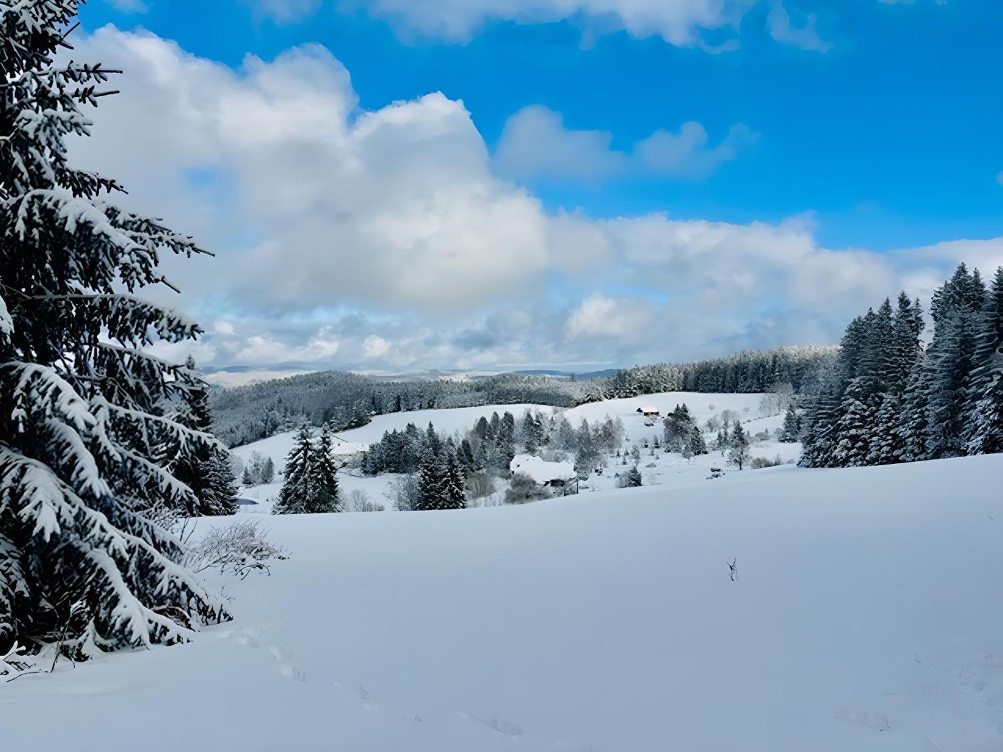 Schwarzwald Nescht Triberg Lejlighed Triberg im Schwarzwald Eksteriør billede