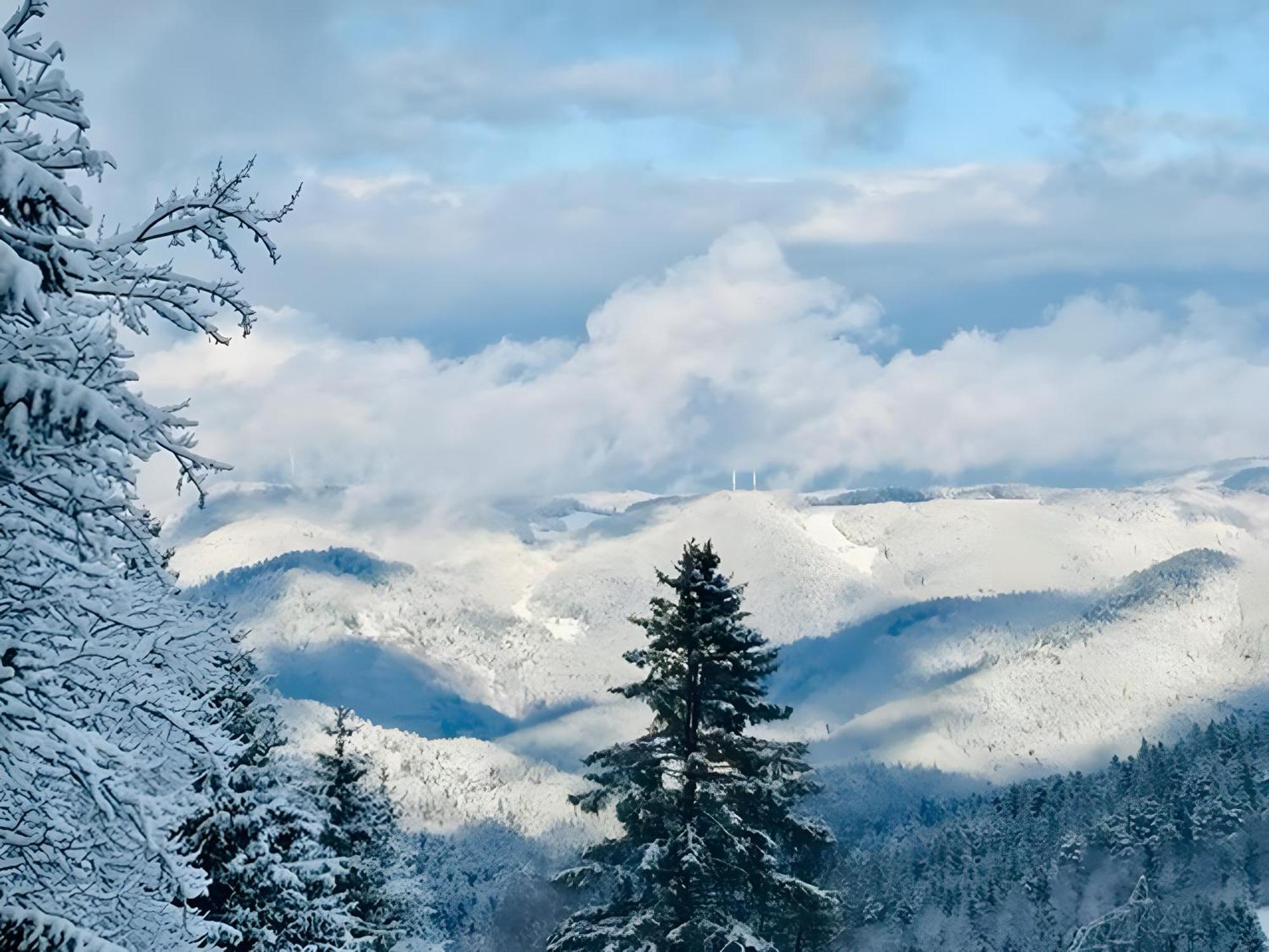 Schwarzwald Nescht Triberg Lejlighed Triberg im Schwarzwald Eksteriør billede